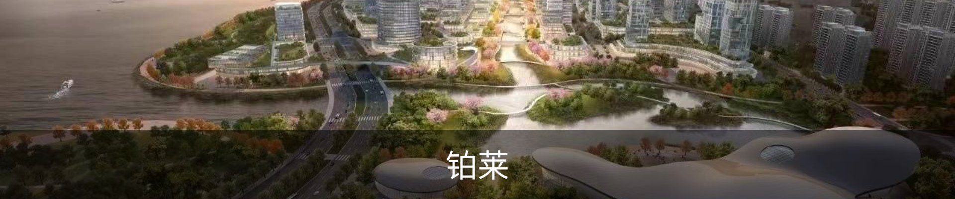 铂莱